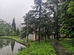 -武陵山森林公园