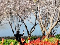 -西安汉城湖景区