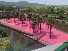 -苏州太湖西山岛开心农场