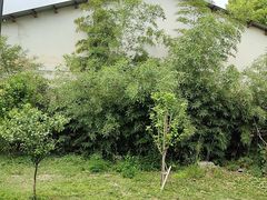 -柴米油盐(土菜院子店)
