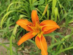 -交通银行(北京天坛支行)