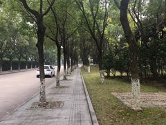 -东北饭店·饺饺者( 学府壹号店)