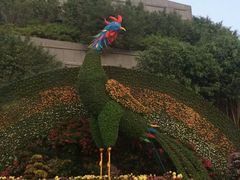 -五通灯塔公园