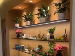 -泉·颂钵冥想·减压·疗愈SPA(前海店)