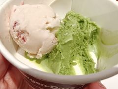 -禾斗海鲜自助(市南银座店)