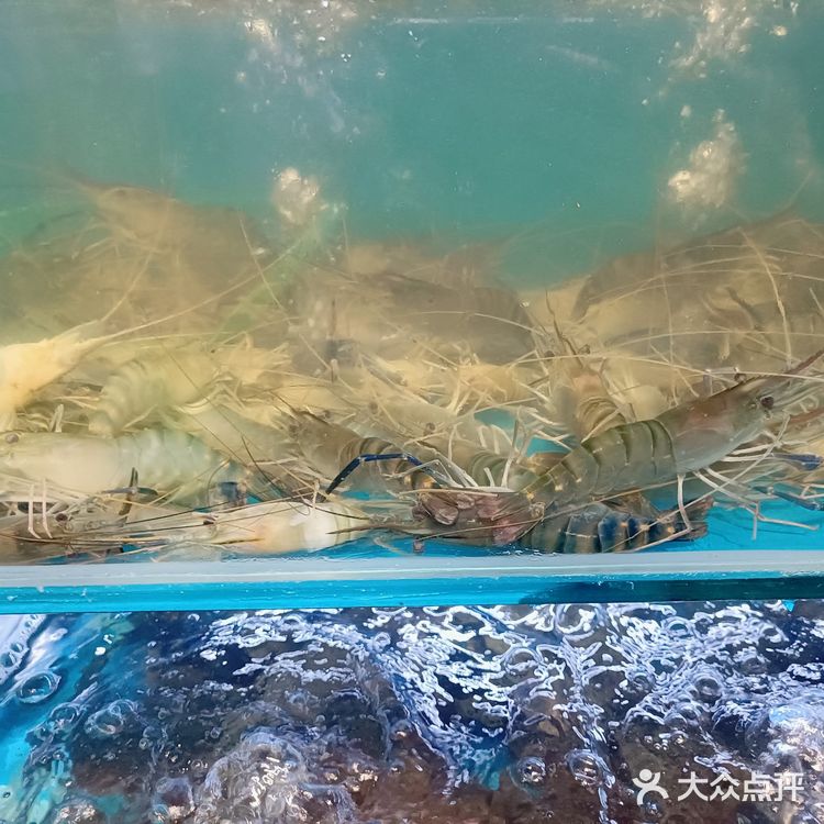 厦门集美顶级海鲜自助餐