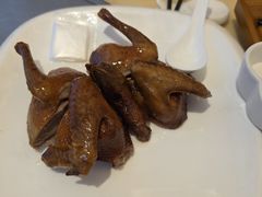 -锦粤宫·精致粤菜(深圳北站店)