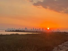 -合肥滨湖国家森林公园