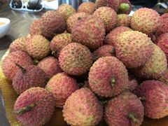 -广州增城富力万达嘉华酒店(增城万达广场地铁站店)