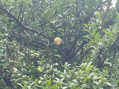 -沪东工人文化宫