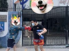 -大焱搏击·泰拳·拳击俱乐部(大柏树店)