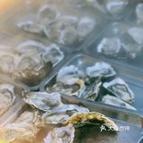 ‼️生蚝自由|💰人均❶⓿⓿＋生蚝🦪随便吃
