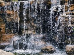 -石家庄市植物园