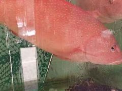 -裕兴酒家·34年老字号