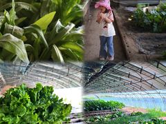 -甜心庄园·甜心草莓采摘园(西青中北店)