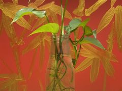 -学习谷日语培训日本留学·多语种外语教学(海淀人大分部)