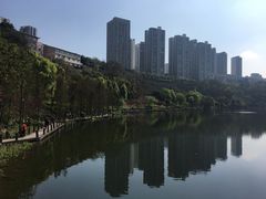 -重庆彩云湖湿地公园