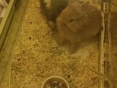 -龙猫仔乐园(惠福东路店)