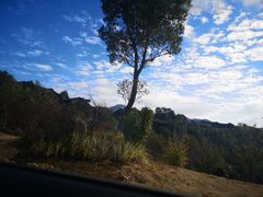 -吉布鲁牛排海鲜自助(硕果时代店)