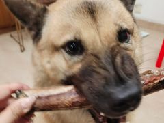 -NY STEAK 牛一扒房(番禺区南城路店)