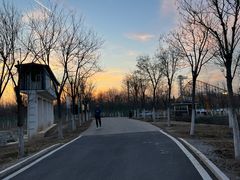 -天津东丽湖风景区