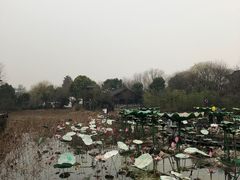 -西溪国家湿地公园