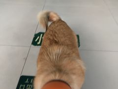 -萌兽医馆·绝育·24小时内科·宠物医院(德胜店)