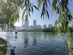 -天鹅湖体育公园