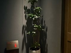 -徐记海鲜·家宴(南油永新汇店)