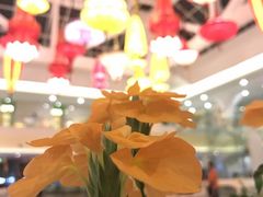 -广州花之恋城堡酒店