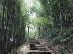 -西湖风景区十里琅珰-五云山