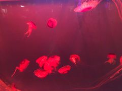 -华夏文旅西安度假区