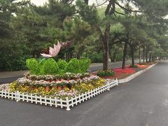 -北陵公园