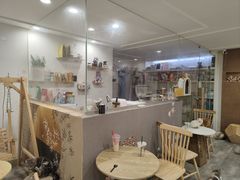 -楼上猫咖(罗湖店)