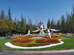-东平国家森林公园