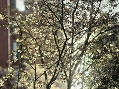 -徐记私厨(半淞园路店)