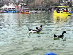 -莲湖公园