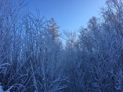 -北极村旅游风景区
