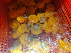 -巽寮印象美食部落餐厅·海鲜·地方特色菜(惠州体验店)