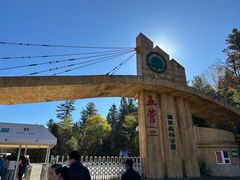 -五营红松林海景区