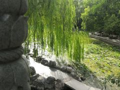 -莲湖公园