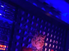 -好乐迪(张扬路八佰伴店)