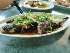 清蒸石头鱼-阿清嫂农家乐.黎窑烤鸡
