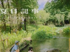 -陈家山荷花公园