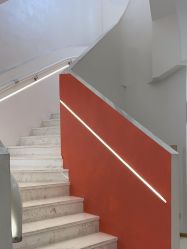 点击看大图 -WENDY·温迪皮肤管理