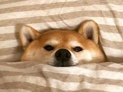 -Together·泰式按摩精油SPA(天山店)