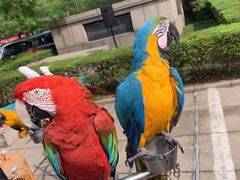 -陕西自然博物馆