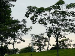 -白石龙音乐公园