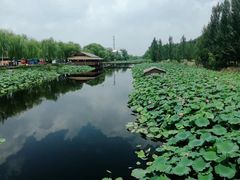 -白洋淀景区