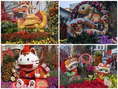 -越秀西湖花市(广州城市广场花卉店)